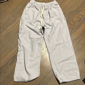 Aerie blue and white striped cargo pant.